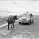 Archiv der Region Hannover, ARH NL Dierssen 1346/0020, Esel und DKW auf Küstenstraße, Rijeka