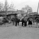 ARH NL Dierssen 1354/0002, Eselkarawane mit Brennholz, Xanthi