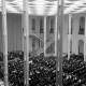 Archiv der Region Hannover, ARH NL Dierssen 1359/0014, Lichthof der Technischen Hochschule, Hannover
