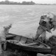 Archiv der Region Hannover, ARH NL Dierssen 1360/0001, Weserhochwasser wird eingedämmt (Technisches Hilfswerk und britische Truppen), Hoya