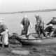 Archiv der Region Hannover, ARH NL Dierssen 1360/0005, Weserhochwasser wird eingedämmt (Technisches Hilfswerk und britische Truppen), Hoya