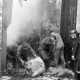 Archiv der Region Hannover, ARH NL Dierssen 1369/0033, Brand, Limmer