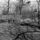 Archiv der Region Hannover, ARH NL Dierssen 1380/0016, Bei dem Gutshaus "Augustin", Gentha
