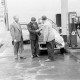 Archiv der Region Hannover, ARH NL Dierssen 1391/0022, Sieger des ADAC-Kleinwagen-Wettbewerb an einer Tankstelle, Hannover