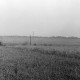 Archiv der Region Hannover, ARH NL Dierssen 1393/0031, Grenze zwischen Geest und Marsch, Stotel