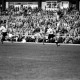 ARH NL Dierssen 1399/0008, Fußballspiel im Niedersachsenstadion, Hannover