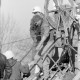 ARH NL Dierssen 1412/0013, Rettung von elf eingeschlossenen Bergleuten, Grubenunglück von Lengede