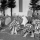 ARH NL Dierssen 1437/0015, Trauerfeier nach dem Schießunglück auf dem Truppenübungsplatz Bergen-Hohne am 9. April 1964, Münster