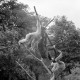 Archiv der Region Hannover, ARH NL Dierssen 1493/0021, Affen im Zoo Hannover