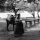 ARH NL Dierssen 1502/0009, Markt, Šibenik?