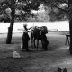 Archiv der Region Hannover, ARH NL Dierssen 1502/0010, Markt, Šibenik?
