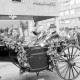 Archiv der Region Hannover, ARH NL Dierssen 1536/0010, Schützenausmarsch, Hannover