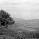 Archiv der Region Hannover, ARH NL Dierssen 1560/0022, Landschaft, Selçuk