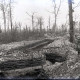 Archiv der Region Hannover, ARH NL Kageler 236, 1. Weltkrieg, II. Linie, Maashöhen, Frankreich