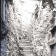 Archiv der Region Hannover, ARH NL Kageler 242, 1. Weltkrieg, Graben mit Blende, Maashöhen, Frankreich