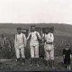 Archiv der Region Hannover, ARH NL Kageler 309, 1. Weltkrieg, Soldaten bei der Weinlese in Ars-sur-Moselle, Frankreich