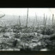 Archiv der Region Hannover, ARH NL Kageler 354, 1. Weltkrieg, der "gerodete" Wald, Priesterwald (Bois-le-Prêtre), Frankreich