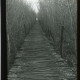 Archiv der Region Hannover, ARH NL Kageler 409, 1. Weltkrieg, Rutenweg im Waldlager, Bois de Rayi, Frankreich
