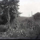 Archiv der Region Hannover, ARH NL Kageler 418, 1. Weltkrieg, Blütenreichtum in der Mauce-Schlucht, Frankreich