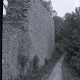 ARH NL Kageler 567, Mauerrest der Ringmauer der Harzburg auf dem Burgberg, Bad Harzburg