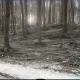 Archiv der Region Hannover, ARH NL Kageler 790, Hügelgrab, Benther-Berg