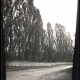 Archiv der Region Hannover, ARH NL Kageler 990, Pappeln, Benthe