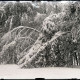 Archiv der Region Hannover, ARH NL Kageler 1083, Winterlandschaft