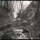 Archiv der Region Hannover, ARH NL Kageler 1109, Wildbach, Osterwald