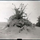 ARH NL Kageler 1117, Gehrdener Berg im Winter