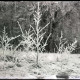 Archiv der Region Hannover, ARH NL Kageler 1118, Gehrdener Berg im Winter