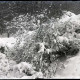 Archiv der Region Hannover, ARH NL Kageler 1120, Gehrdener Berg im Winter