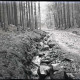 ARH NL Kageler 1151, Weg zum Süntelturm im Süntel, Hessisch Oldendorf