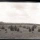 Archiv der Region Hannover, ARH NL Kageler 1170, Wachholder, Lutterloh