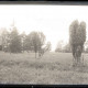 ARH NL Kageler 1172, Parklandschaft, Lutterloh