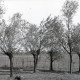 ARH NL Kageler 2398, Landschaft, Reden