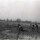 Archiv der Region Hannover, ARH NL Koberg 632, Entfernung von Tarnholz bei der Räumung des Maschsees zwecks Nutzung als dringend benötigtes Bauholz, Hannover