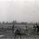 ARH NL Koberg 633, Entfernung von Tarnholz bei der Räumung des Maschsees zwecks Nutzung als dringend benötigtes Bauholz, Hannover