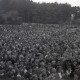 ARH NL Koberg 1031, Kundgebung der SPD, anlässlich des Bezirksparteitages am 17./18. August, auf dem Gelände des heutigen Waldstadions, Barsinghausen