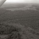 ARH NL Koberg 2730, Helstorfer Moor, Neustadt am Rübenberge