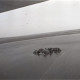 Archiv der Region Hannover, ARH NL Koberg 3217, Wilhelmstein, Steinhuder Meer
