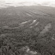 Archiv der Region Hannover, ARH NL Koberg 3778, Helstorfer Moor, Wedemark
