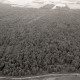 ARH NL Koberg 3783, Helstorfer Moor, Wedemark