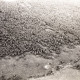 Archiv der Region Hannover, ARH NL Koberg 3790, Helstorfer Moor, Wedemark