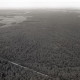 Archiv der Region Hannover, ARH NL Koberg 3795, Helstorfer Moor, Wedemark