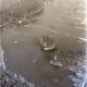 Archiv der Region Hannover, ARH NL Koberg 4249, Hochwasser des Steinhuder Meerbachs, bei Nienburg/Weser