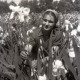 ARH NL Koberg 4917, Frau in einem Feld von Blumen
