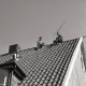 ARH NL Koberg 5388, Männer auf einem Dach montieren einer Fernsehantenne, Insel Neuwerk