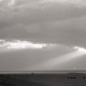 Archiv der Region Hannover, ARH NL Koberg 5402, Weide, Wolken und Meer, Insel Neuwerk