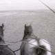 Archiv der Region Hannover, ARH NL Koberg 5444, Pferdewagen im Watt, bei Insel Neuwerk