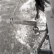 ARH NL Koberg 5446, Pferdewagen im Watt, bei Insel Neuwerk